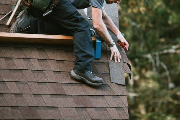 Best Metal Roofing Contractor  in Roundup, MT